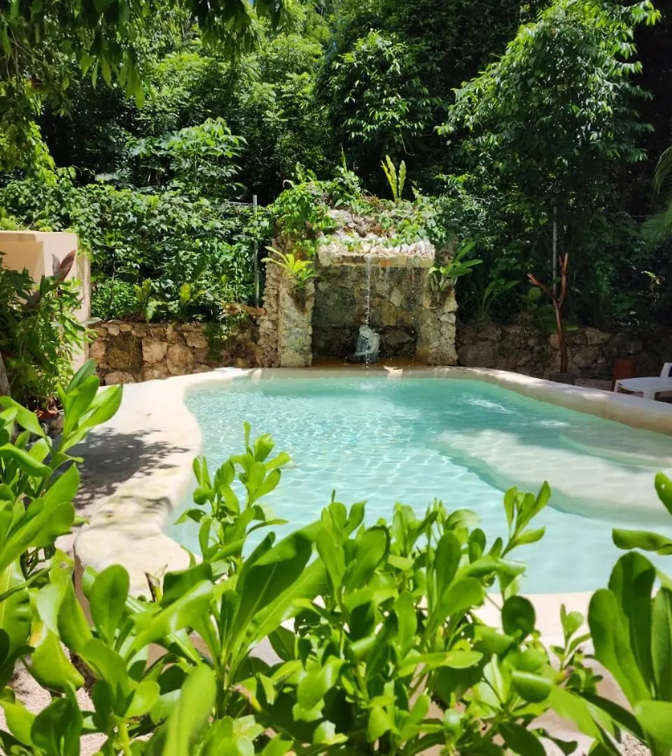 Cabana Selva Alta, Ruta De Los Cenotes Puerto Morelos