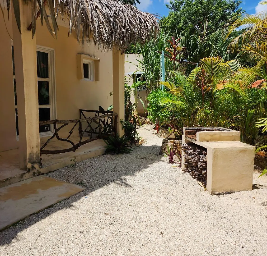 Cabana Selva Alta, Ruta De Los Cenotes Puerto Morelos 0*,  Mexico