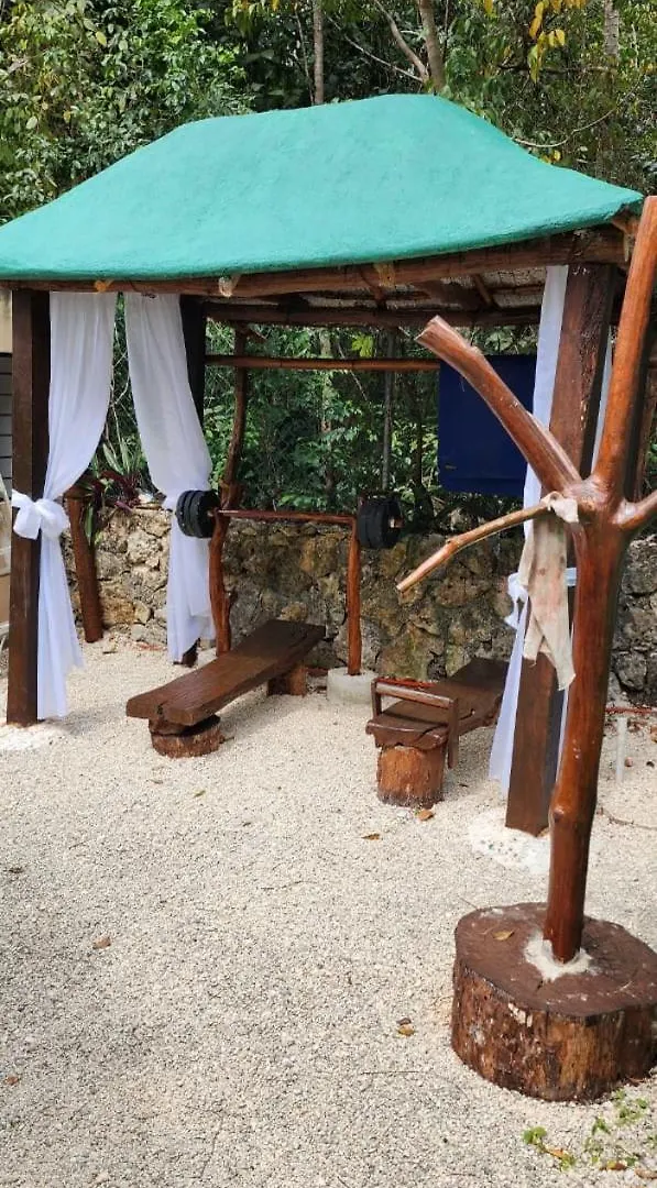 Cabana Selva Alta, Ruta De Los Cenotes Puerto Morelos Mexico